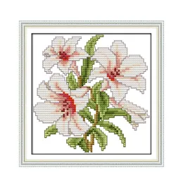 Joysunday Cross Stitch Kit mit kleinem Blumenmuster Aida -Stoff 16ct 14ct Druckhandwerk Stickerei Set für Starter Home Dec