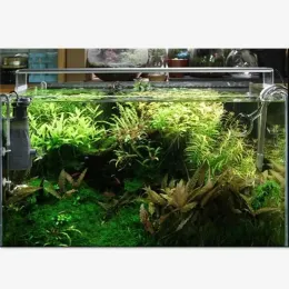 CHIHIROS ADA STYLE PLANTE Wachsen LED LEG LAGE Eine Serie Mini Nano Kurzes Aquarium Wasserpflanze Fischtank 8000k