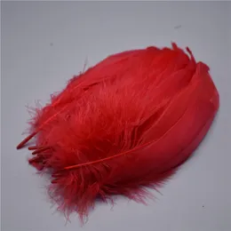 Белые искренние перья для гусиных перьев для ремесел 5-7-дюймовые/13-18 см. Стоимость самостоятельных украшений