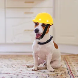 Cão vestuário animal de estimação engraçado chapéu gato plástico filhote de cachorro segurança acessórios de bicicleta multi-uso