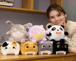 Explosão animais de pelúcia brinquedos de pelúcia boneca gato boneca panda gato boneca bolso série macio bonito gato brinquedos brinquedos para meninas 5398990