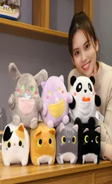 Explosão animais de pelúcia brinquedos de pelúcia boneca gato boneca panda gato boneca bolso série macio bonito gato brinquedos brinquedos para meninas2140400