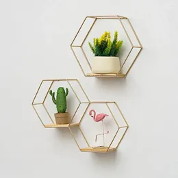 Placas decorativas do suporte de armazenamento de ferro elegante empresa geométrica prateleira hexagonal 2 cores parede hexágona para biblioteca