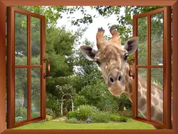 Aufkleber mit 3D-Effekt, Fensteransicht, neugierige Giraffe steckt ihren Kopf ins Fenster, gefälschte Fenster-Wandaufkleber, abnehmbarer Wandaufkleber