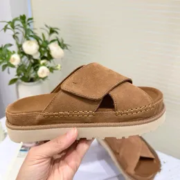 Designer Goldenstar Cowhide Clog Pantofole Sandali sandali australia Golden star Beach Cross Slides Donna Tazz Tasman Autunno Pantofola in castagna con semi di senape