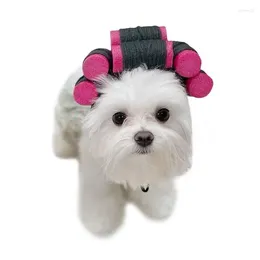 Hundkläder baby curler hatt rolig crossdresser curlers slår hattar frisör för po rekvisita tema fancy klänning del