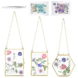 Frame 3er-Pack gepresste Blumen-Glasrahmen, goldener hängender Glas-Bilderrahmen mit schwebender Kette, DIY-Displayrahmen für getrocknete Blumen, Blätter