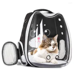 Trasportino per gatti Borsa per spot Zaino portatile trasparente per animali domestici Zaino esterno traspirante di grande capacità