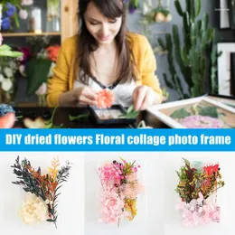 Dekorativa blommor naturliga pressade blandade torkade blommmaterial för DIY -ljus gratulationskort Epoxy Craft Home Decor fo