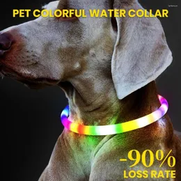 Dog Collars All-weather Pet Collar Rainproof Led Rechargeable Flashing Modes For Night Safety Comfortable Lightweight Medium