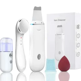 Suggerimenti Ultrasonic Skin Scrubber Pore Cleaner 2 + 4 Kit Facial Ion Pala Pulizia profonda del viso Kit dispositivo peeling sonico Dispositivo di rimozione dei punti neri