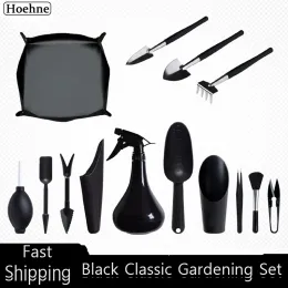 Albümler Bonsai etli aletler set ev kapalı bahçe mini araç kiti kaktüs bitki çiçekleri bahçe bakımı dikim elleri seti ile set