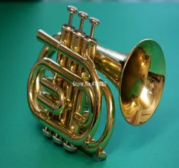 Selling Mini Jupiter JPT416 Bb Pocket Trumpet Gold Brass Musical Instrument With Case Accessories 8322225