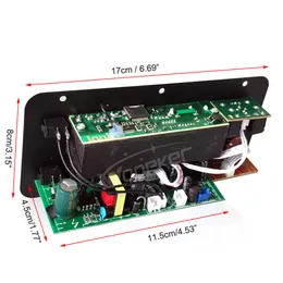 Wsparcie dla wzmacniacza audio WOOPKER 30-120W Podwójny mikrofon Bluetooth Amplifificatore Subwoof dla głośnika 4OHM 12V 24V 110V 220V