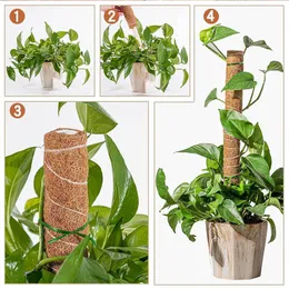 حديقة Coir Totem Coconut Palm Sticks Moss Pole Pole Moss Stick Vine Plant لتسلق نباتات دعم التمديد