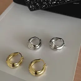 Hoop Earrings 925 Sterling Silver Irregular Circle Golden Geometric Punk For Women Girl Gift Jewelry Drop Wholesale