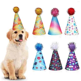 Abbigliamento per cani 6 pezzi Cappello di compleanno Accessori per animali Cappelli da festa per cani Ragazzo Osso Gatti Carta grande