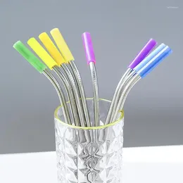 İçme Pipetler 10 PC Kapaklar Silikon Saman Seti Yeniden Kullanılabilir Paslanmaz Çelik Düz ve Bükülmüş Uç Gıda Sınıfı Koltan Toptan