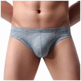 Unterhosen JAYCOSIN Männer Unterwäsche Mesh Sexy Slip Solide Ultradünne Atmungsaktive Herren Slip Cueca Männliche Höschen