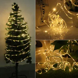 30m 300 Bateria LED liga a luz LED Luz com remoto arame de cobre ao ar livre Fairy Light Diy Rape String Light for Garden Decor