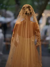 Bridal Wedding Veil Single Layer Lace Edge Beige Bridal Veil