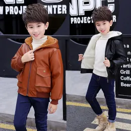 df26eb03-a25f-4a54-8f18-