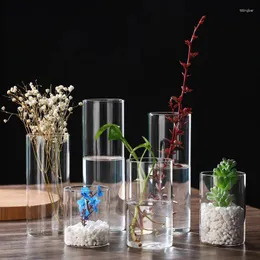 Vasos 1 pc transparente planta garrafa vaso de flor hidropônico terrário arranjo recipiente ecológico casa decorações de casamento
