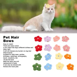 Abbigliamento per cani 16pcs per capelli per animali domestici graziosi fiore di maglieria in lana vintage con elastici per piccoli cani grandi gatti