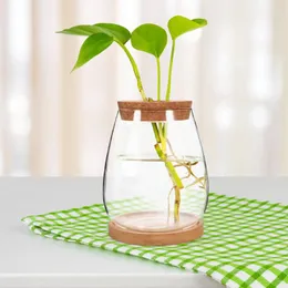 Wazony 1 Zestaw hydroponiczny hydroponiczny terrarium DIY Landscape Bottle Pulpit Rośliny Uchwyt Rośliny