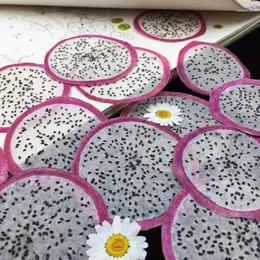 Dekorativa blommor 5st torkad pressad minifrukt pitaya skivor plantera herbarium för smycken po ram telefon fall bokmärke som gör diy