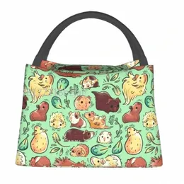 Guinea Pig Huddle Isolated Lunch Tote Bag For Women Animal Cyteble Thermal Cooler Food Lunch Box Office 779i#