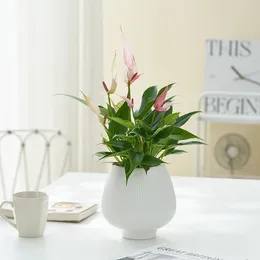 Vazolar İskandinav Basit Çizgili Seramik Flowerpot Morandi Yeşil Çiçekler Masaüstü Çevre Koruma