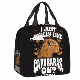 2023 New I Just Really Like Capybara OK Insulated Lunch Bag For Women Portable Thermal Cooler Lunch Tote Beach Cam Travel n4Wv#