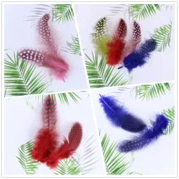 50/100/300pcs/lot天然ギニア鳥斑点のある羽毛工芸美しいチキンフェザージュエリーカーニバル装飾5-10cm/2-4インチ
