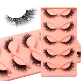 Falska ögonfransar Holloween 5 Par 3D Pearls Decoration Cat Eye Lashes Natural Curly Makeup Eyelash Extension Tool Tillbehör