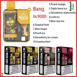 Autentyczny Bang Box BC 9000 Puffs Do jednorazowe ładowanie Vape Bang Box e-papierosy 9k cewka z cewki rgb 12 Smaki 14 ml e-liquid w magazynie
