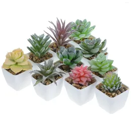 Fiori decorativi 10 pezzi piante succulente artificiali figurine di cactus in miniatura modelli bonsai in vaso micro paesaggio piante grasse in plastica