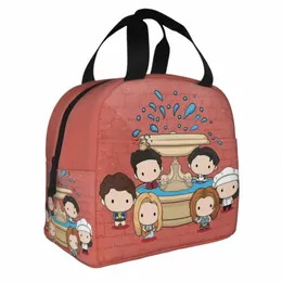 friends TV Show Insulated Lunch Bag Leakproof Carto Fountain Reusable Thermal Bag Tote Lunch Box Office Outdoor Men Women q0YV#