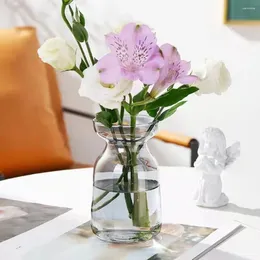 Vazolar hidroponik tohum başlangıç ​​vazo sevimli şeffaf ampul büyüyen şeffaf tomurcuk bitki cam çiçeği