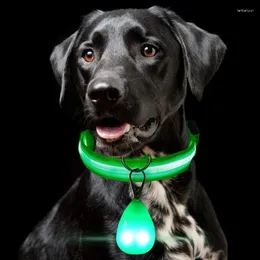 Coleiras para cães Pet LED Glow Pendant Glow-in-the-dark Anti-lost Light USB Night Walk Cat e Multi-color Collar Supplies