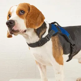 Hundkläder mesh andningsbar husdjurssele justerbar nacke och bröst reflekterande dragfri valpväst