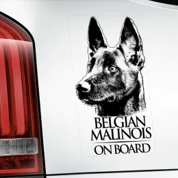 N322# Belga Malinois Vinil Decal