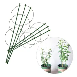 Suporta estrutura de suporte de planta de aço revestido de plástico 45cm / 60cm Rack de videira de escalada durável suporte decorativo de flores criativas 5 unidades