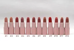 Pink Matte lipstick Shades Longlasting Easy to Wear Natural 12 Colors Makeup Wholesall Lip Stick4424963
