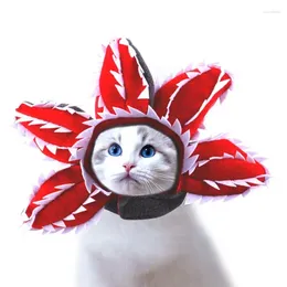 Dog Abbigliamento Kitten Outfits Pet Piranha Shape Hat Cat Hood Party COSTUME Accessorio divertente vestiti carini per