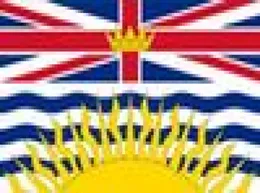 Kanada İngiliz 3ft x 5ft polyester afiş uçan 150* 90cm özel bayrak dış mekan1360931