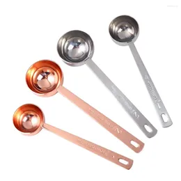 Bola de café Silvery Stainless Steel medindo com acessórios manipulados Spoon Spoons Kitchen Tool Tool