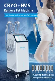 2 I 1 EMS Cryolipolysis Inget vakuumfett Freezing Machine Body Slimming Cryolipolysis Respyte Body Line Handtag kan arbeta tillsammans för Beauty Salon