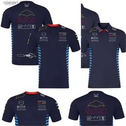 2024 F1 Team Racing T-Shirt Formül 1 Sürücü Erkek Polo Gömlek Tişörtleri Motor Sporları Yeni Sezon Giyim Hayranları Üstü Jersey Plus Boyut 0ged M25i