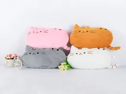 Plüsch Cartoon Katze Kissen Kissen süße faule Katze Bolster Long Tail Miau Stern Kissen Home Dekoration Chunk Big Katze Kissen 9668881